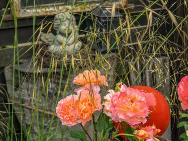 Bahçede yaz çiçekleri