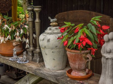 Bahçede yaz çiçekleri