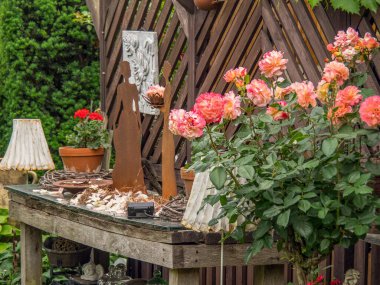 Bahçede yaz çiçekleri