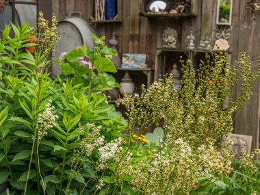 Bahçede yaz çiçekleri