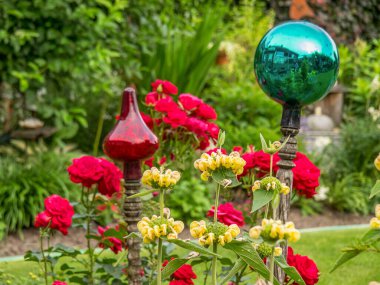 Bahçede yaz çiçekleri