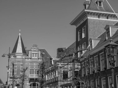 Hollanda 'daki Haarlem şehri