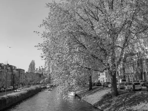 Hollanda 'daki Haarlem şehri