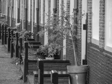 Hollanda Haarlem şehir