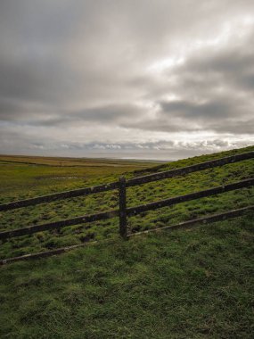 İrlanda kıyıları.