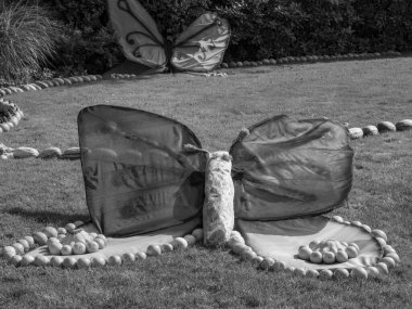 Bahçedeki balkabakları