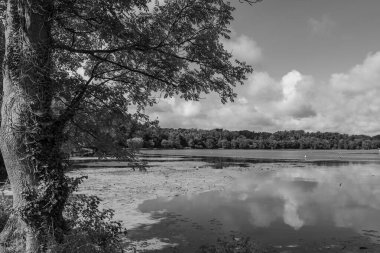 Almanya 'da Essen yakınlarındaki Baldeney Gölü