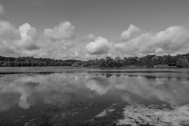 Almanya 'da Essen yakınlarındaki Baldeney Gölü