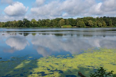 Lake baldeney near essen in germany clipart