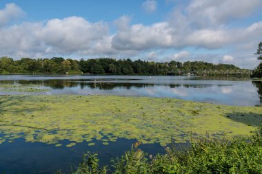 Lake baldeney near essen in germany clipart