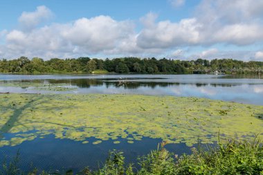 Lake baldeney near essen in germany clipart