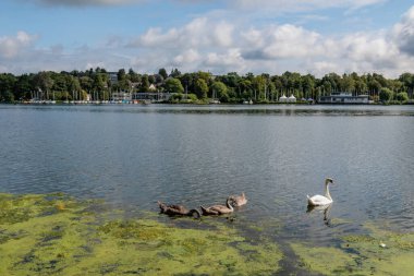 Lake baldeney near essen in germany clipart