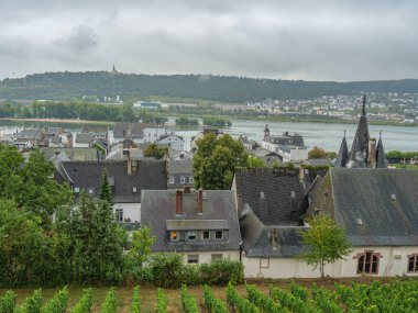 Ruedesheim at the river rhine in germany clipart