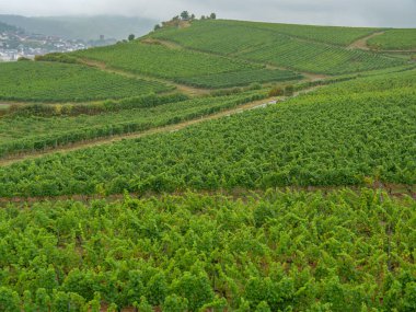 Almanya 'daki Ren Nehri' nde bingen