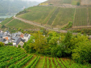 Almanya 'daki Ren Nehri' nde bingen