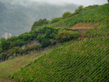 Almanya 'daki Ren Nehri' nde bingen