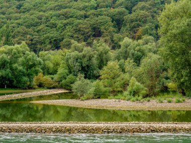 Almanya 'daki Ren Nehri' nde bingen