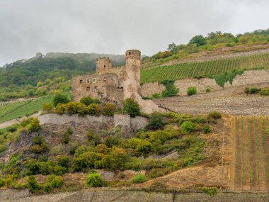 bingen at the rhine river in germany clipart