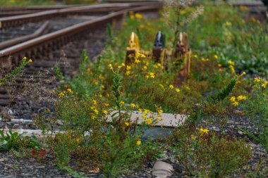 Tarihi bir çevrede eski lokomotifler ve vagonlar