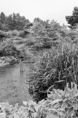 Edinburgh şehri İskoçya 'da