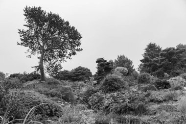 Edinburgh şehri İskoçya 'da
