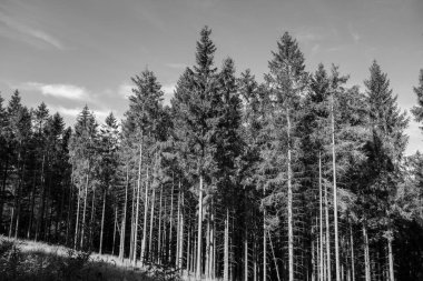 Alman Sauerland 'inde Willingen