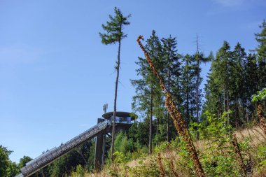 Alman Sauerland 'inde Willingen