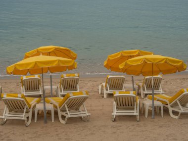 Akdeniz 'de Fransa' da konserveler