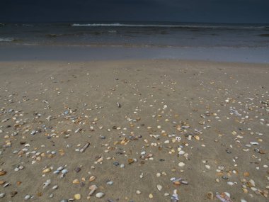 Hollanda 'da Egmond aan zee