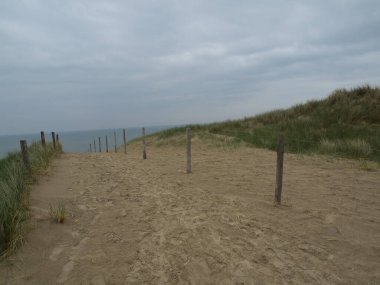 Hollanda 'da Egmond aan zee