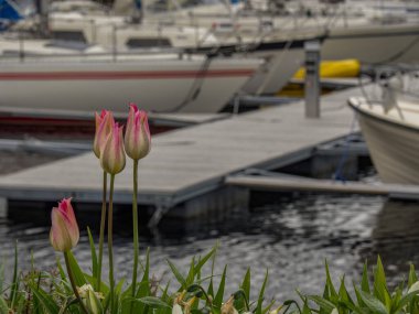 Norveç 'in Kristiansand şehrinde