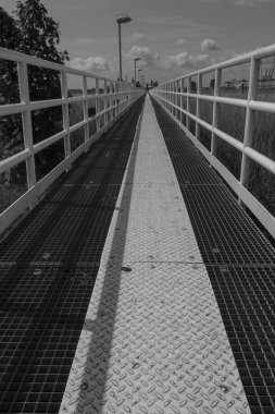 Lillo Schelde nehrinde