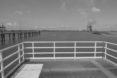 Lillo Schelde nehrinde