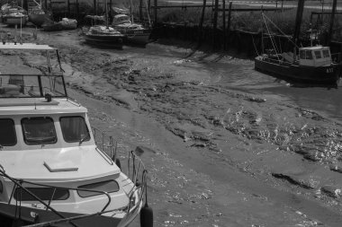 Lillo Schelde nehrinde