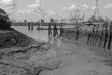 Lillo Schelde nehrinde