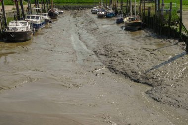 Lillo Schelde nehrinde