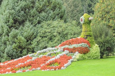 Göl kenarındaki çiçekler.