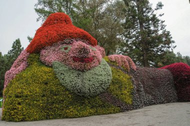 Göl kenarındaki çiçekler.