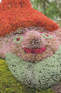 Göl kenarındaki çiçekler.