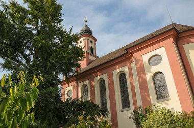 Göl kenarındaki çiçekler.