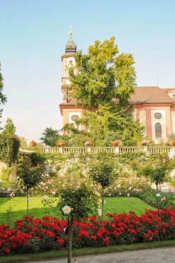 Göl kenarındaki çiçekler.