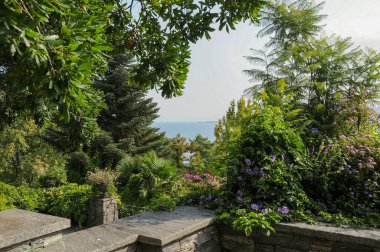 Göl kenarındaki çiçekler.