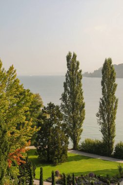 Göl kenarındaki çiçekler.