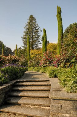 Göl kenarındaki çiçekler.