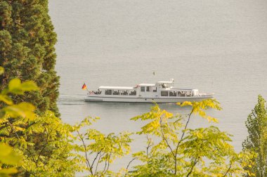 Göl kenarındaki çiçekler.