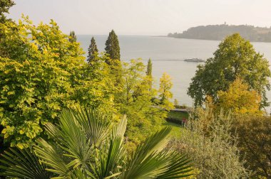 Göl kenarındaki çiçekler.