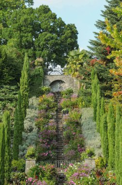Göl kenarındaki çiçekler.