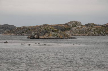 Göteborg ve İsveç 'teki Baltık Denizi