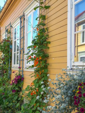 Norveç 'in Trondheim kenti