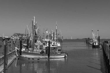 Ditzum köyü Almanya 'daki ems nehrinin orada.